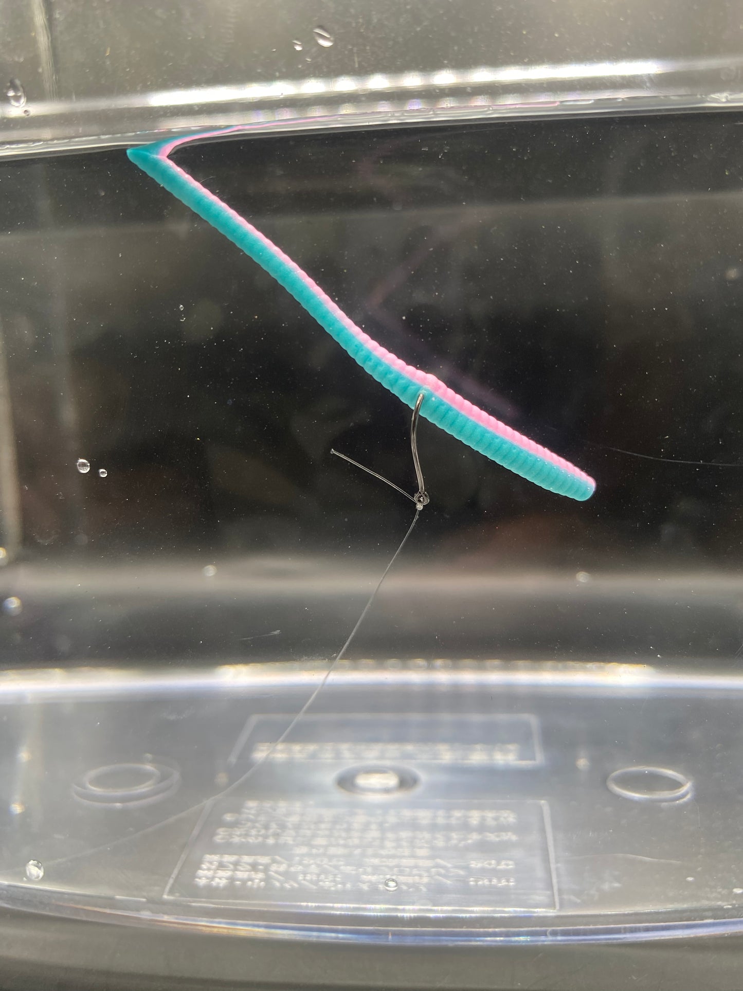 Floating trout worms