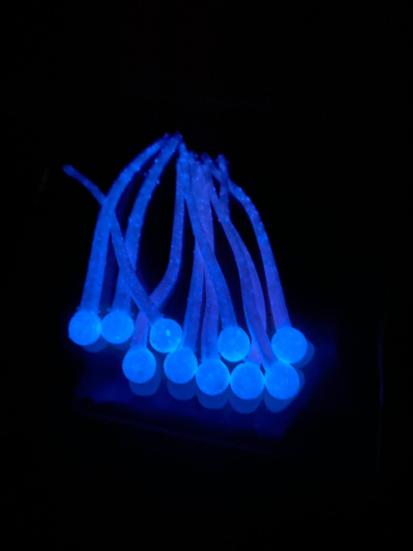 Glow mini mice tail pink/white